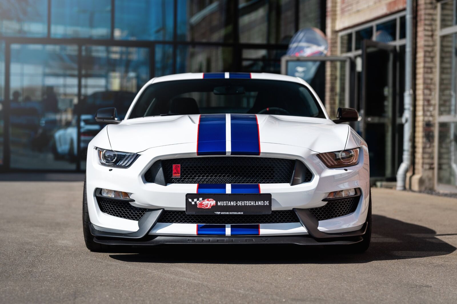 GT vs Mach 1 vs Dark Horse