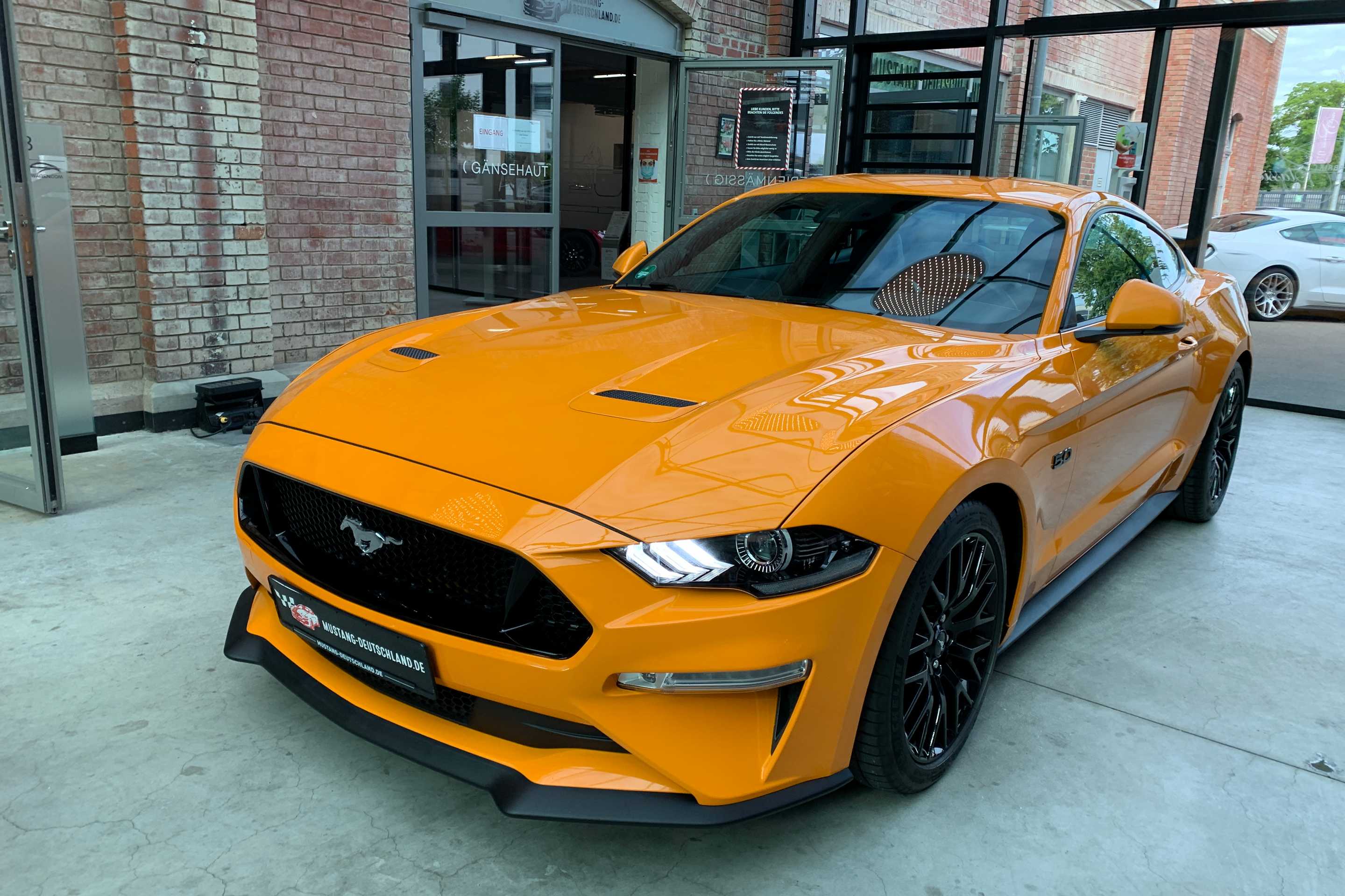 Ford Mustang (GT Fastback Magne-Ride/5Jahre Garantie/B)